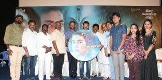 Krishnam Movie Audio Launch