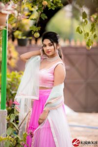 nayagi serial actress cast