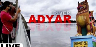 Adyar River Exclusive Video