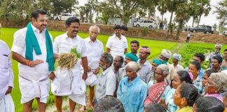 Tamilnadu Records in Agriculture