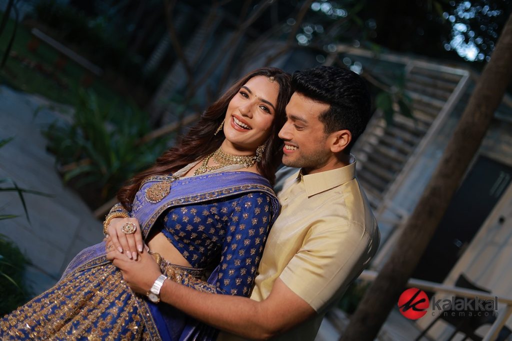 Kalidas Jayaram - Tarini Kalingarayar Pre Wedding Celebration (17)