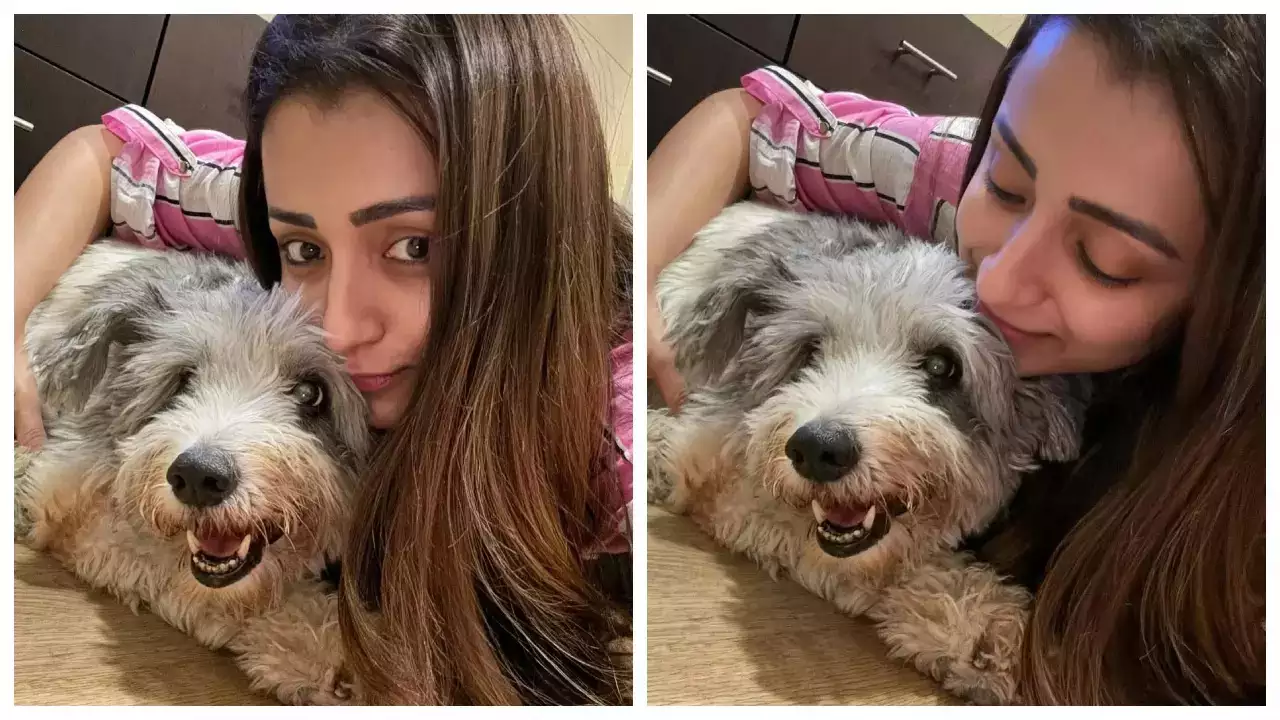 trisha emotional post after her pet dog zorro passed away