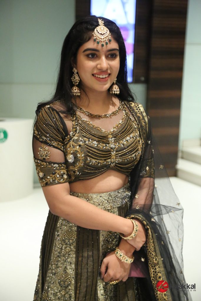 NEEK Audio Launch (5)