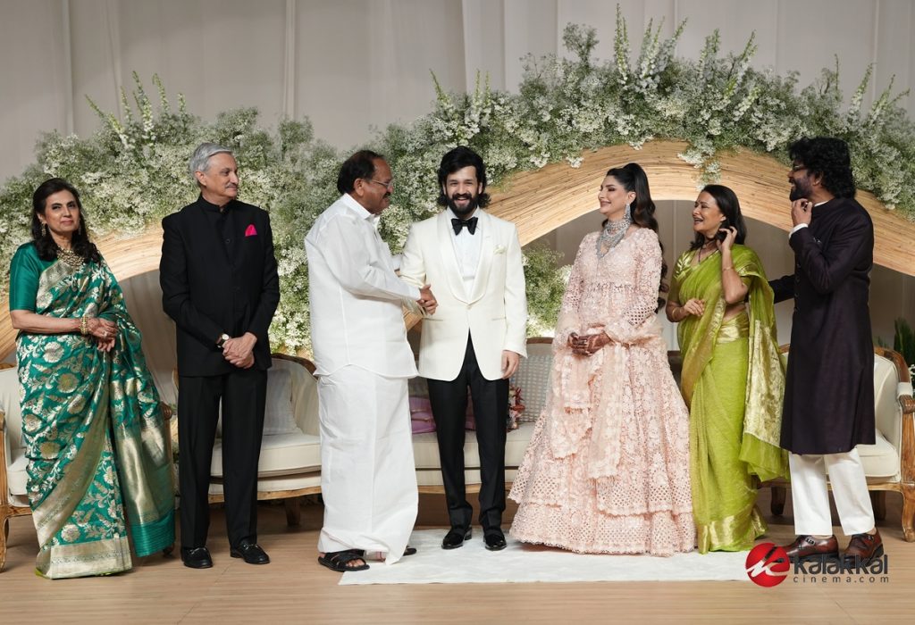 Akhil Akkineni and Zainab Wedding Reception Stills (12)