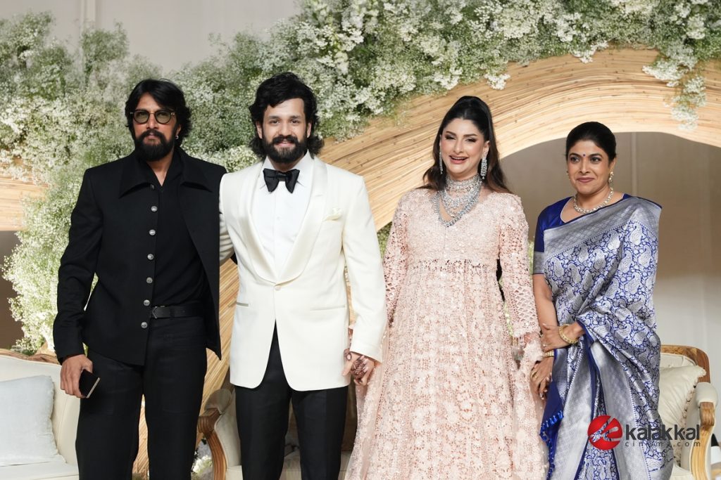 Akhil Akkineni and Zainab Wedding Reception Stills (16)