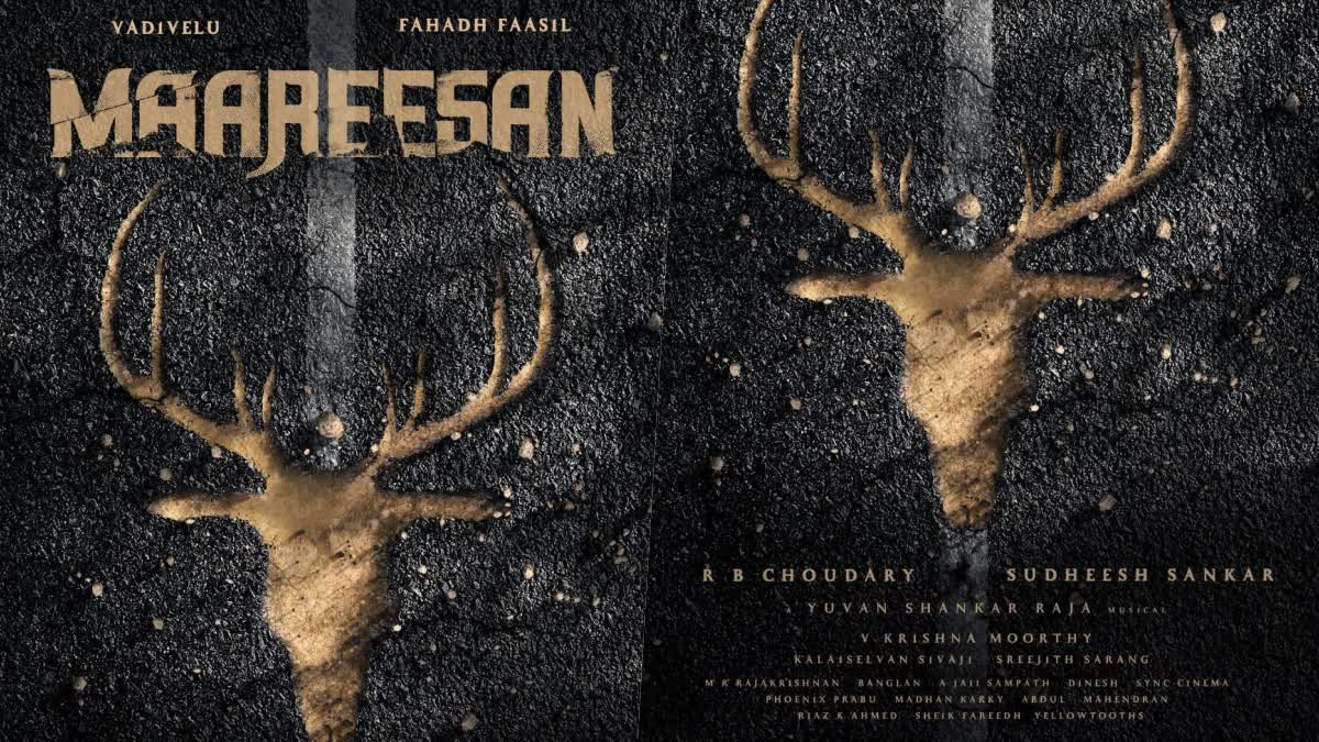 Do you know the story of Vadivelu starrer Mareesan