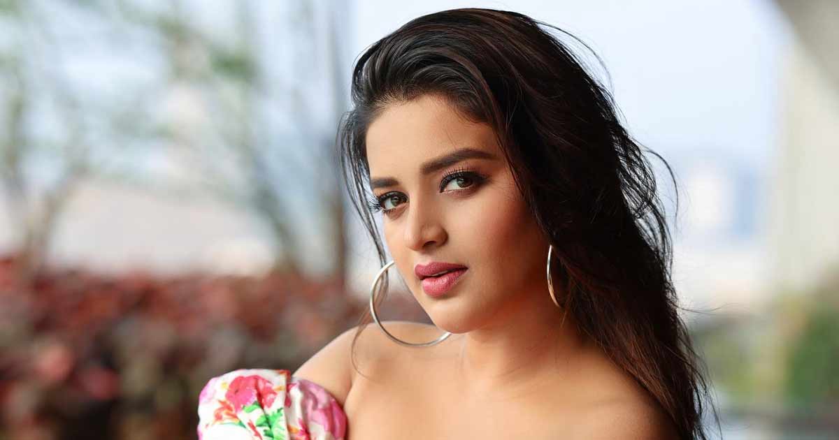 Actress Nidhhi Agerwal Latest Photos Update