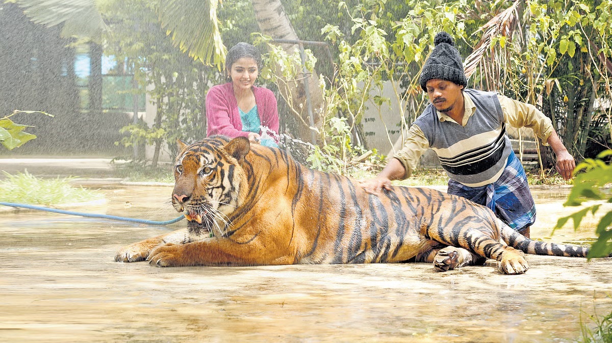 What the daughter of Pugazh did while standing in front of the poster of MR Zoo Keeper.!