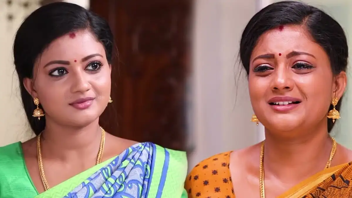 siragadikka asai serial meena latest photos