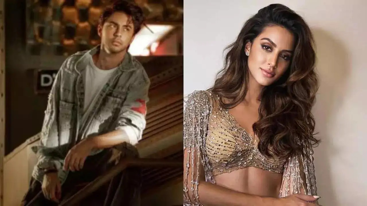 gauri khan advise from director aryan khan