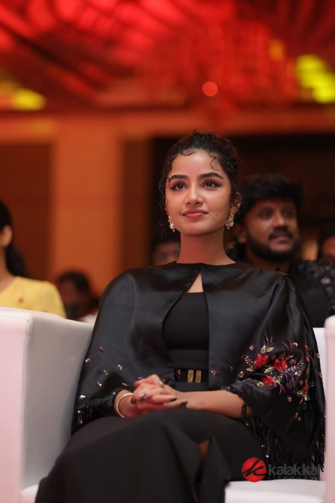 Bison Movie Press Meet (17)