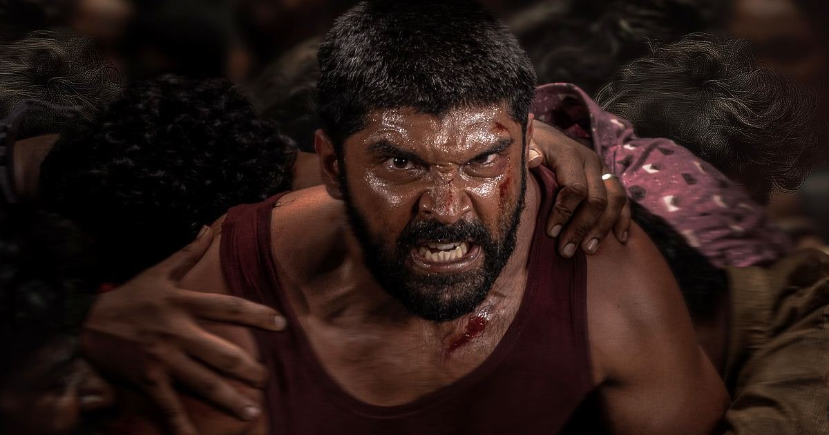 bison movie 9th day box office update