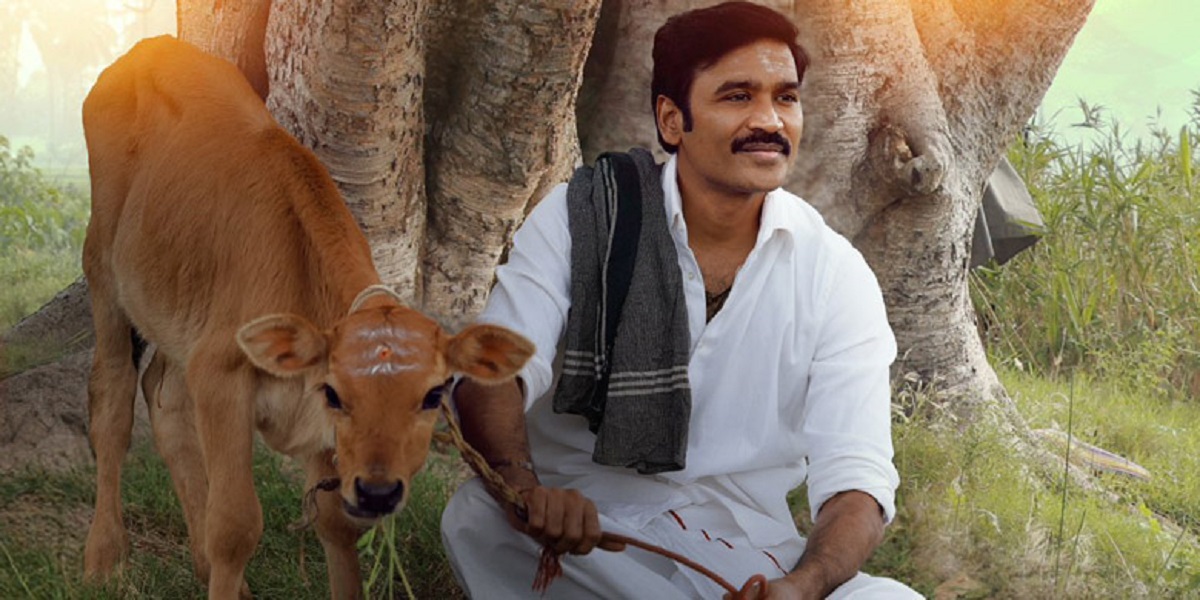 idly kadai movie 7 days collection update