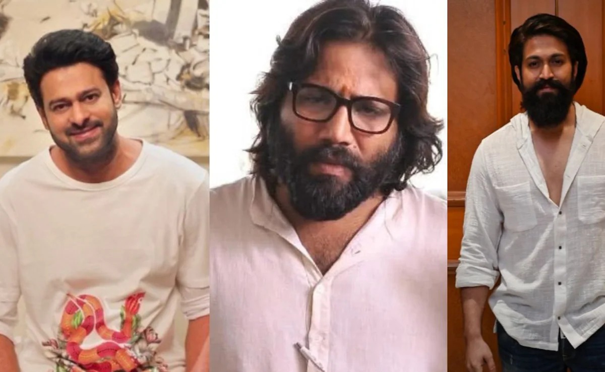 Director Sandeep Reddy director sandeep reddy vanga praised kantara chapter 1 movie