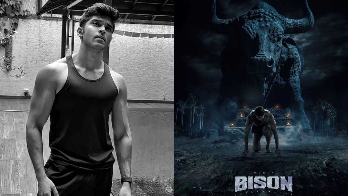 bison movie 15th day box office update