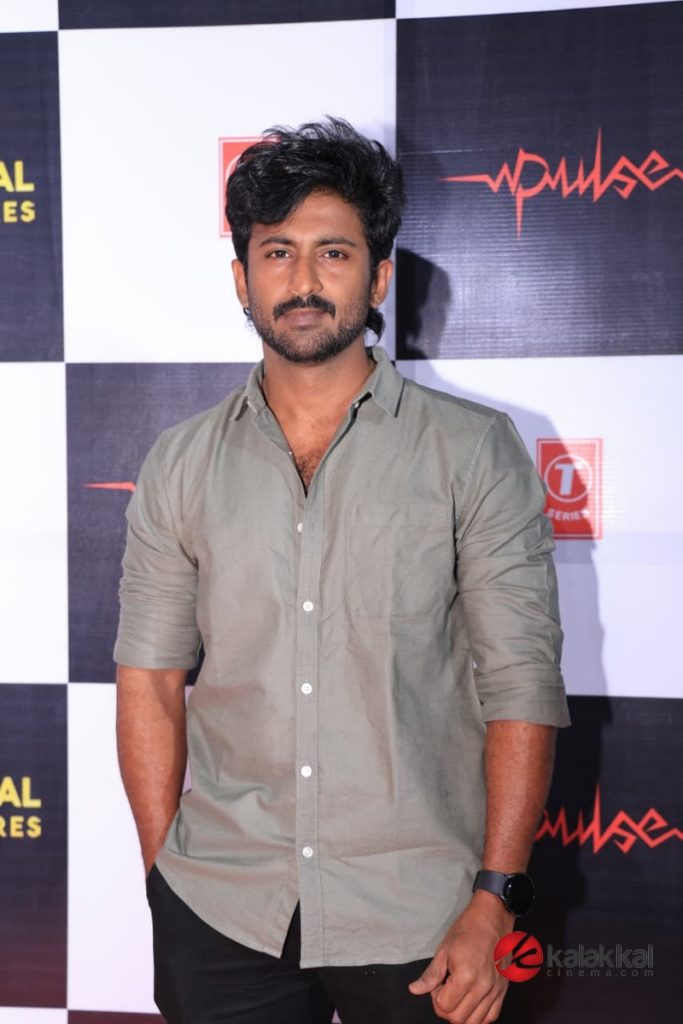 Pulse Movie Audio Launch (17)