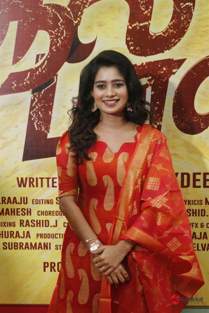 All Pass Movie Audio Launch (3)