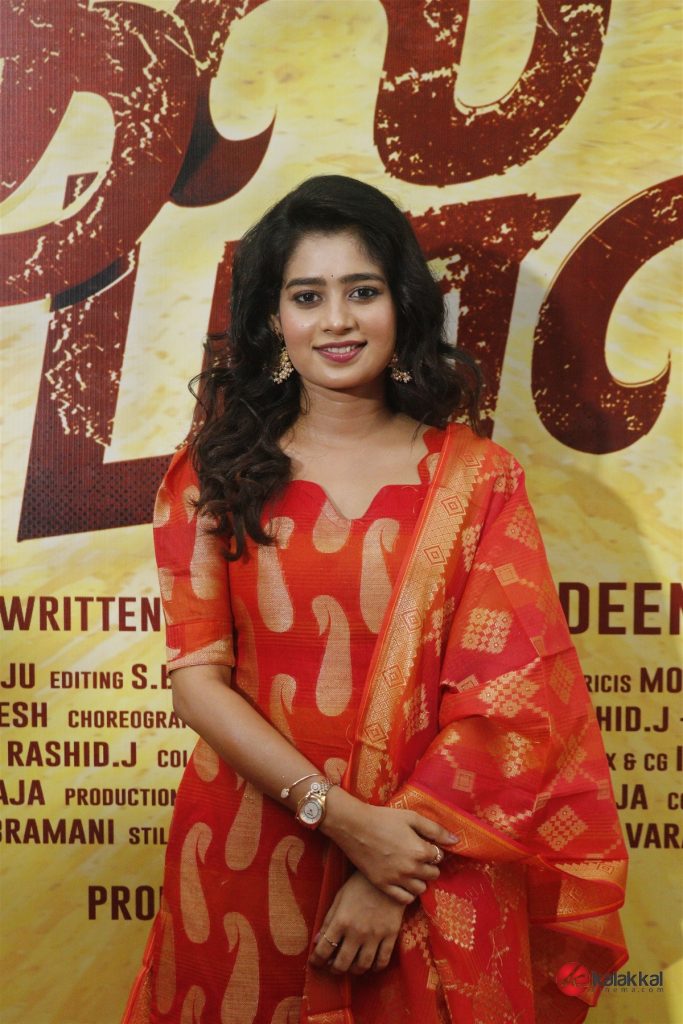 All Pass Movie Audio Launch (4)