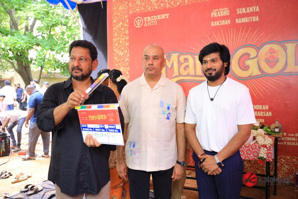 Mary Gold Pooja Ceremony Stills (28)