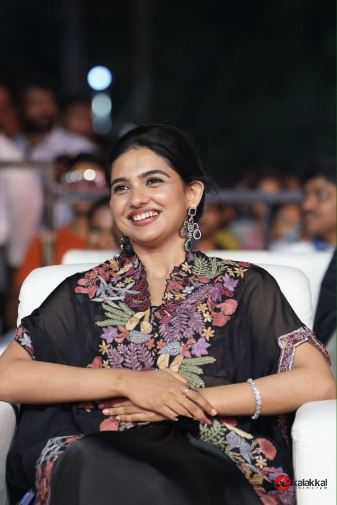 Vishwanath and Sons Movie Audio Launch (5)